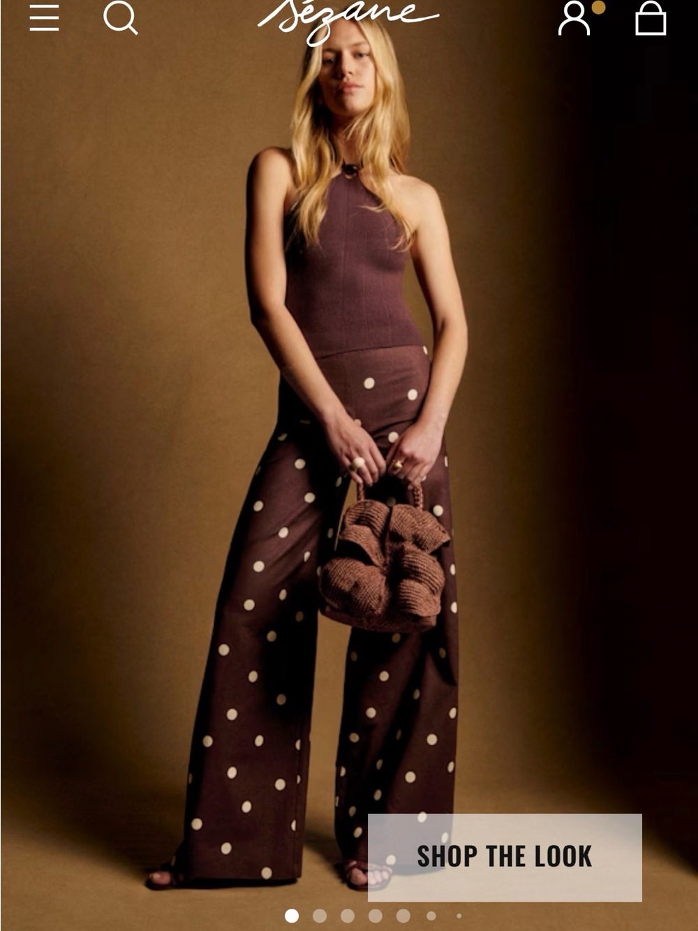 In search of Sézane CAMILLO Brown Wide-Leg Polka Dot Trousers